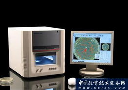 全自動菌落計(jì)數(shù)儀 杭州迅數(shù)科技引領(lǐng)信息技術(shù)革新